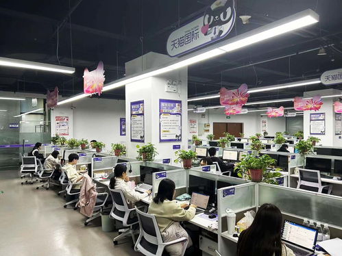 揚州天貓國際自營服務(wù)中心迎咨詢高峰，300名大學生支援客服工作